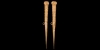 Hellenistic Gold Dress Pin Pair Hellenistic Gold Dress Pin Pair