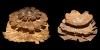 Sassanian Gold Tree Ornament Pair Sassanian Gold Tree Ornament Pair
