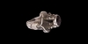 Silver Seal Ring Silver Seal Ring