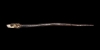 Gilt Silver Beast-Headed Pin Gilt Silver Beast-Headed Pin