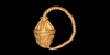 Gold Earring with Lions Head Gold Earring with Lions Head