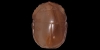 Naturalistic Scarab Naturalistic Scarab