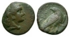 Troa - Abydos - Eagle Bronze Troa - Abydos - Eagle Bronze