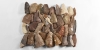 Neolithic Scraper and Blade Group Neolithic Scraper and Blade Group
