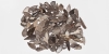 Neolithic Leaf-Shaped Arrowhead Collection Neolithic Leaf-Shaped Arrowhead Collection