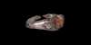 Silver Ring with Frond Gemstone Silver Ring with Frond Gemstone