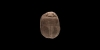Hieroglyphic Scarab Hieroglyphic Scarab