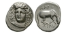 Thessaly - Larissa - Horse Grazing Drachm Thessaly - Larissa - Horse Grazing Drachm