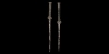 Achaemenid Silver Pin Pair Achaemenid Silver Pin Pair