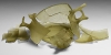 Fragmentary Glass Skyphos Fragmentary Glass Skyphos