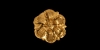 Elizabethan Gold Floral Button Elizabethan Gold Floral Button