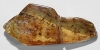 Polished Copal with Fungus Gnats, Spider and Flies Polished Copal with Fungus Gnats, Spider and Flies