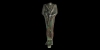 Osiris Torso Osiris Torso