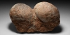 Fossil Hadrosaur Dinosaur Egg Pair Fossil Hadrosaur Dinosaur Egg Pair