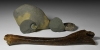 British Fossil and Tool Collection British Fossil and Tool Collection
