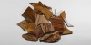 Picture Sandstone Fragment Group Picture Sandstone Fragment Group