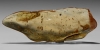 Large Polished Copal with Insects Large Polished Copal with Insects