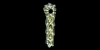 Silver-Gilt Entwined Belt Mount Silver-Gilt Entwined Belt Mount