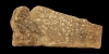 Limestone Hieroglyphic Panel Limestone Hieroglyphic Panel