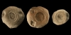 Sassanian Seal Impression Group Sassanian Seal Impression Group