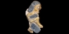 Gold Figural Mount Gold Figural Mount
