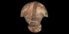 Elamite Face Mount Elamite Face Mount