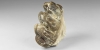 Mastodon Fossil Tooth Mastodon Fossil Tooth