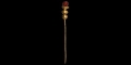 Roman Gold Pin with Carnelian Finial