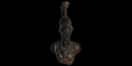 Roman Minerva Bust Mount