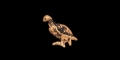 Egyptian Gold Vulture Amulet