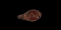 Roman Eagle Gemstone in Iron Bezel