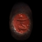 Roman Hare Riding Dolphin Gemstone in Iron Ring