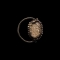 Egyptian Scarab in Gold Ring