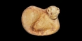 Near Eastern Jemdet Nasr Type Stone Amuletic Seal Matrix