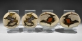 Geological Agate Creek Polished Thunderegg Pairs Group