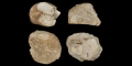 Stone Age British Avebury Implement Group