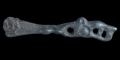 Viking Bronze Fenris Wolf Strap End