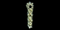 Viking Silver-Gilt Entwined Belt Mount