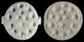 Western Asiatic Limestone Stamp Seal