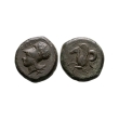 Ancient Greek Coins - Syracuse - Athena AE Litra Ancient Greek Coins - Syracuse - Athena AE Litra