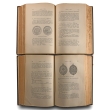 Numismatic Books - Hawkins, Franks & Gruber - Medallic Illustrations of the History of Great Britain and Ireland to the death of George II, 2 vols Numismatic Books - Hawkins, Franks & Gruber - Medallic Illustrations of the History of Great Britain and Ireland to the death of George II, 2 vols