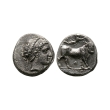 Ancient Greek Coins - Campania - Neapolis - AR Didrachm Ancient Greek Coins - Campania - Neapolis - AR Didrachm