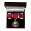 Great Britain. George V, Ladies AR Silver Jubilee Medal. Great Britain. George V, Ladies AR Silver Jubilee Medal.