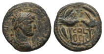 Hadrian AE 18mm of Berytus, Phoenicia. Hadrian AE 18mm of Berytus, Phoenicia.