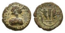 Palmyrene, Palmyra AE 11mm. Palmyrene, Palmyra AE 11mm.