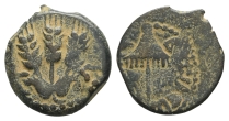 Judaea. Herodians, Agrippa I AE Prutah. Judaea. Herodians, Agrippa I AE Prutah.