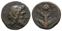 Kyrenaika, Kyrene AE 19mm. Kyrenaika, Kyrene AE 19mm.