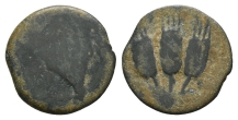 Judaea. Herodians, Agrippa I AE Prutah. Judaea. Herodians, Agrippa I AE Prutah.