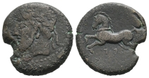 Kings of Numidia, Massinissa or Micipsa AE Unit. Kings of Numidia, Massinissa or Micipsa AE Unit.