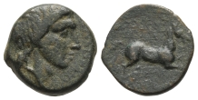 Sicily, Morgantina(?) AE 19mm. Sicily, Morgantina(?) AE 19mm.